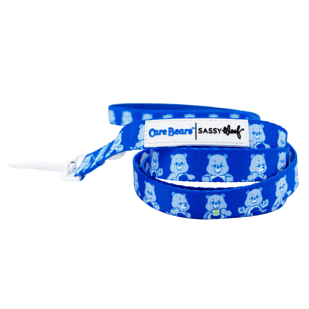 Dog Two Piece Bundle - Care Bears™ Grumpy Bear - Image 3