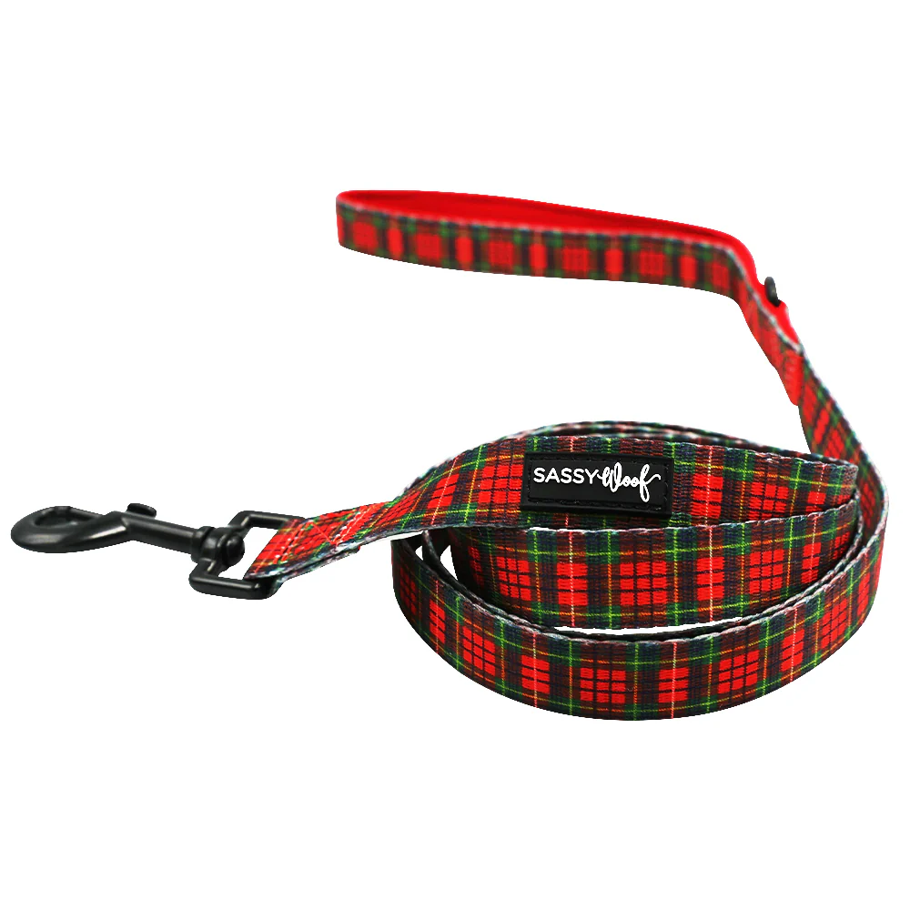 Dog Two Piece Bundle - Deck the Paws - Image 3