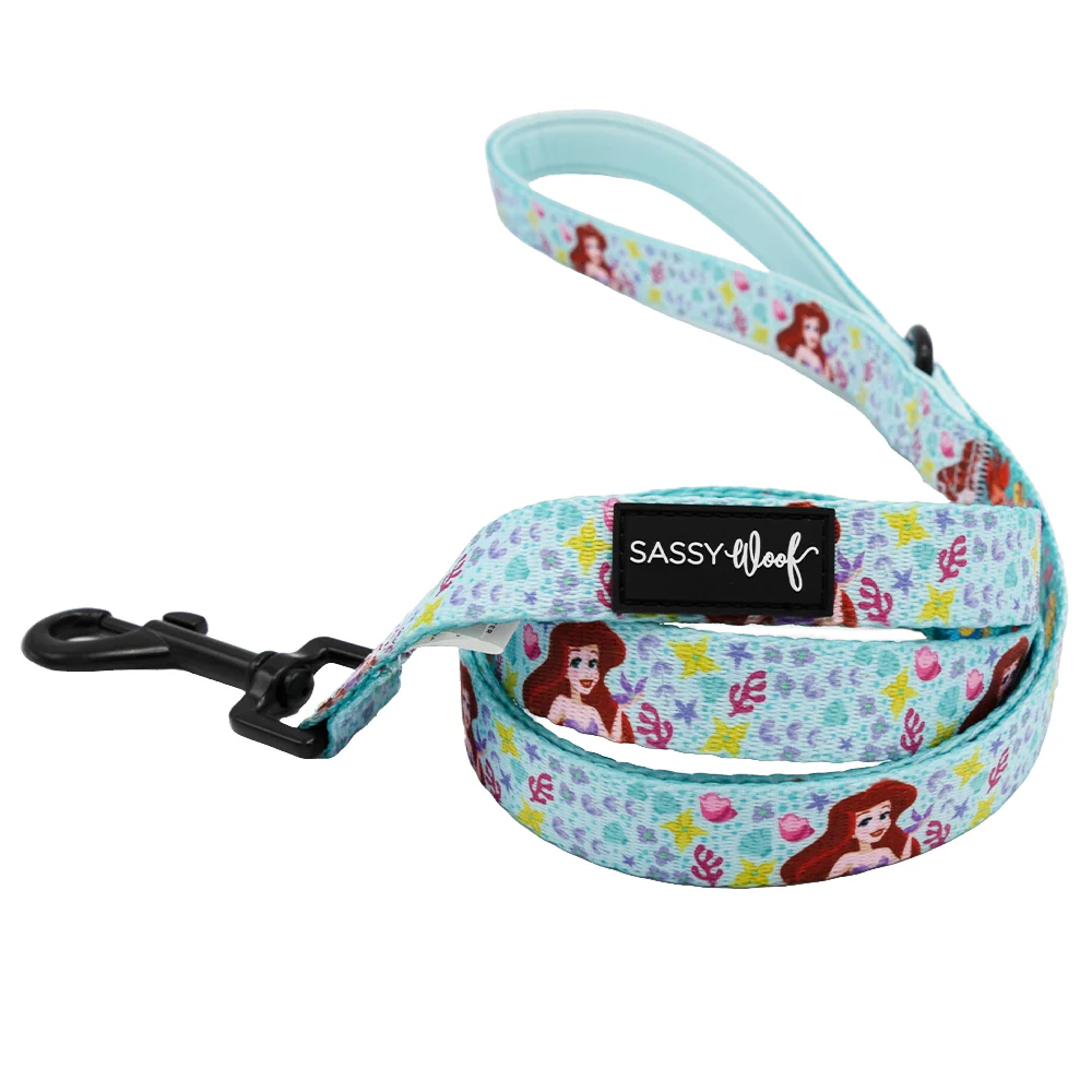 Dog Two Piece Bundle - Disney's Ariel - Image 3