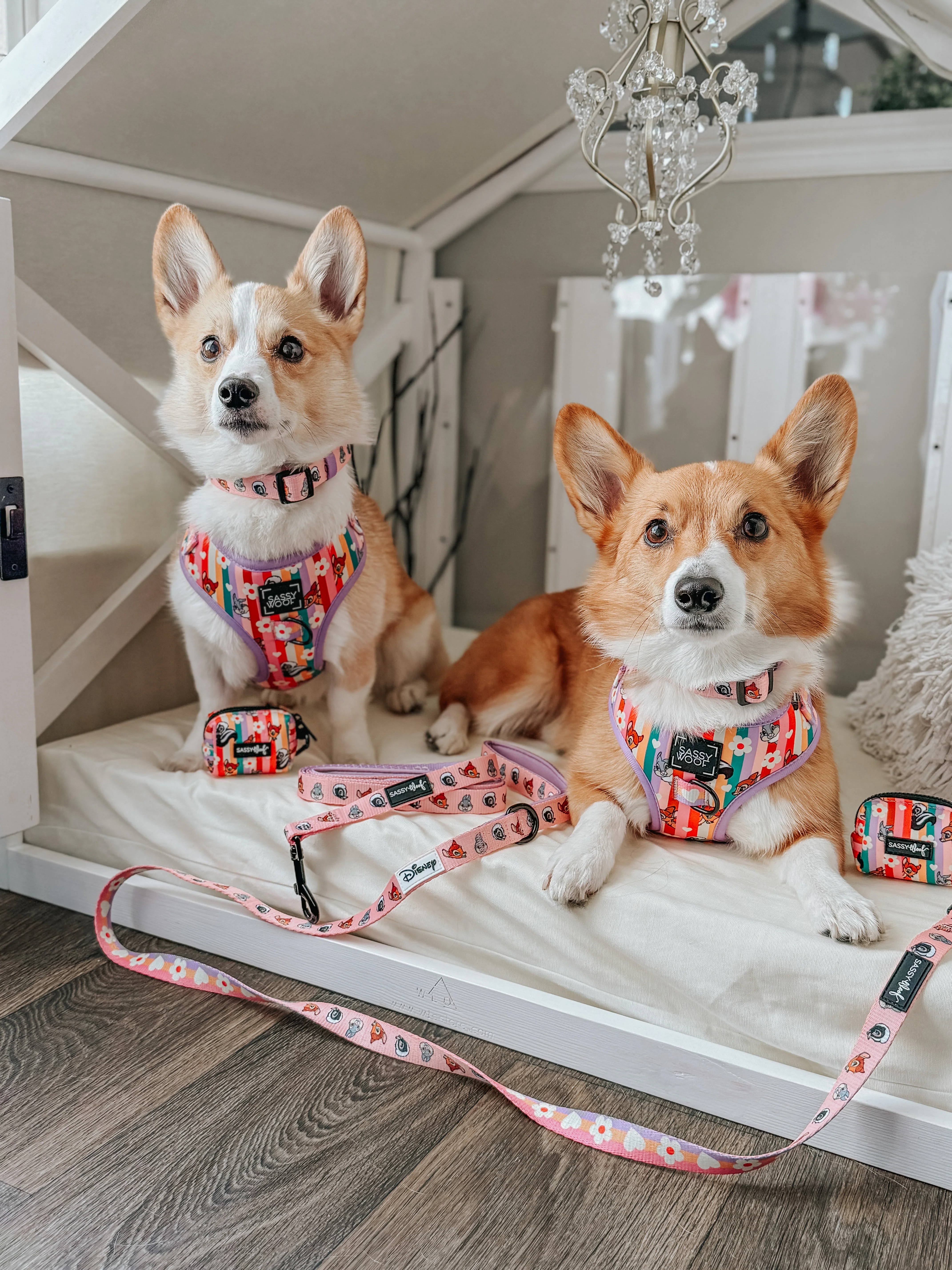 Dog Four Piece Bundle - Disney's Bambi - Image 8