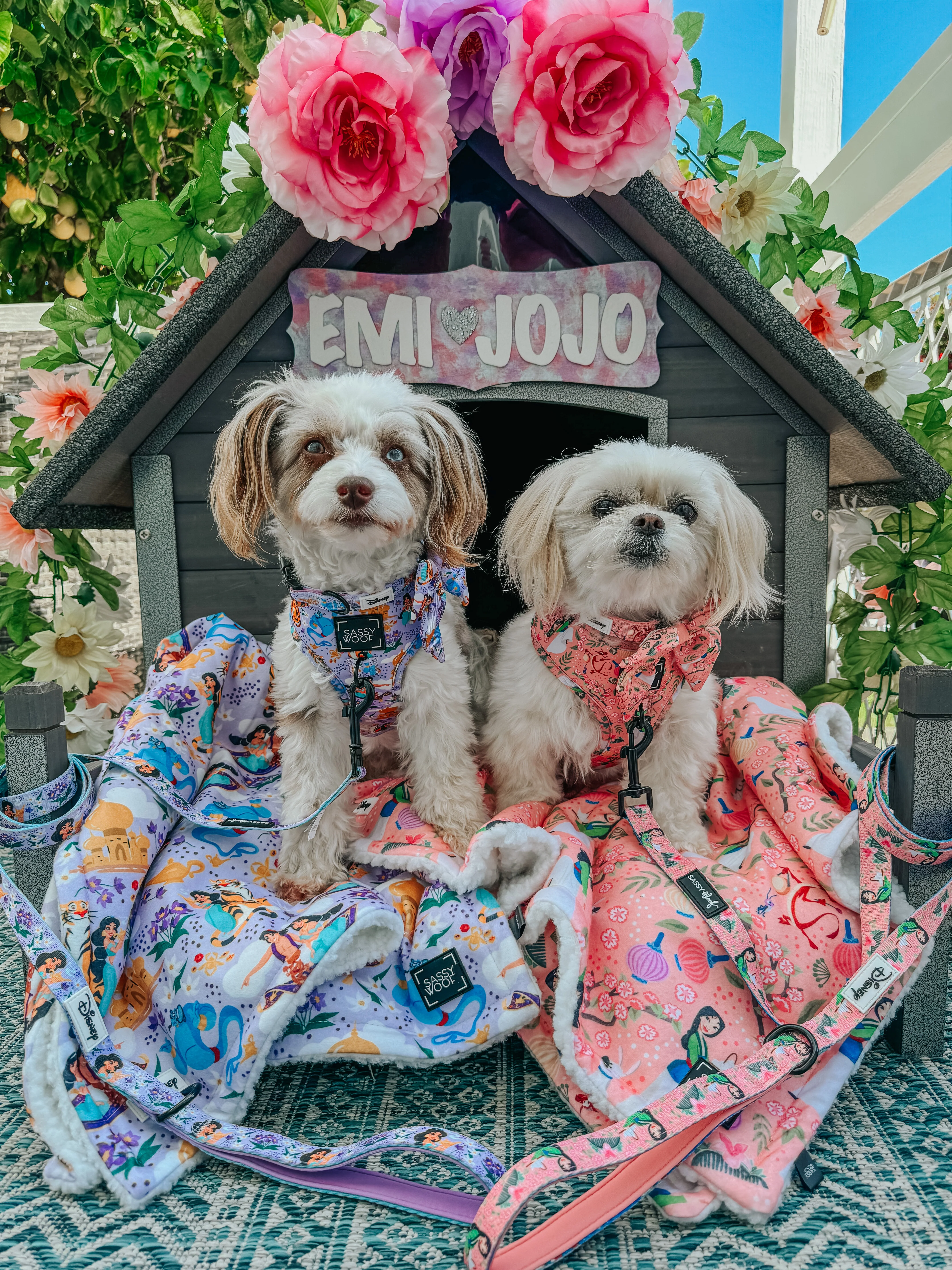 Dog Two Piece Bundle - Disney's Jasmine - Image 12