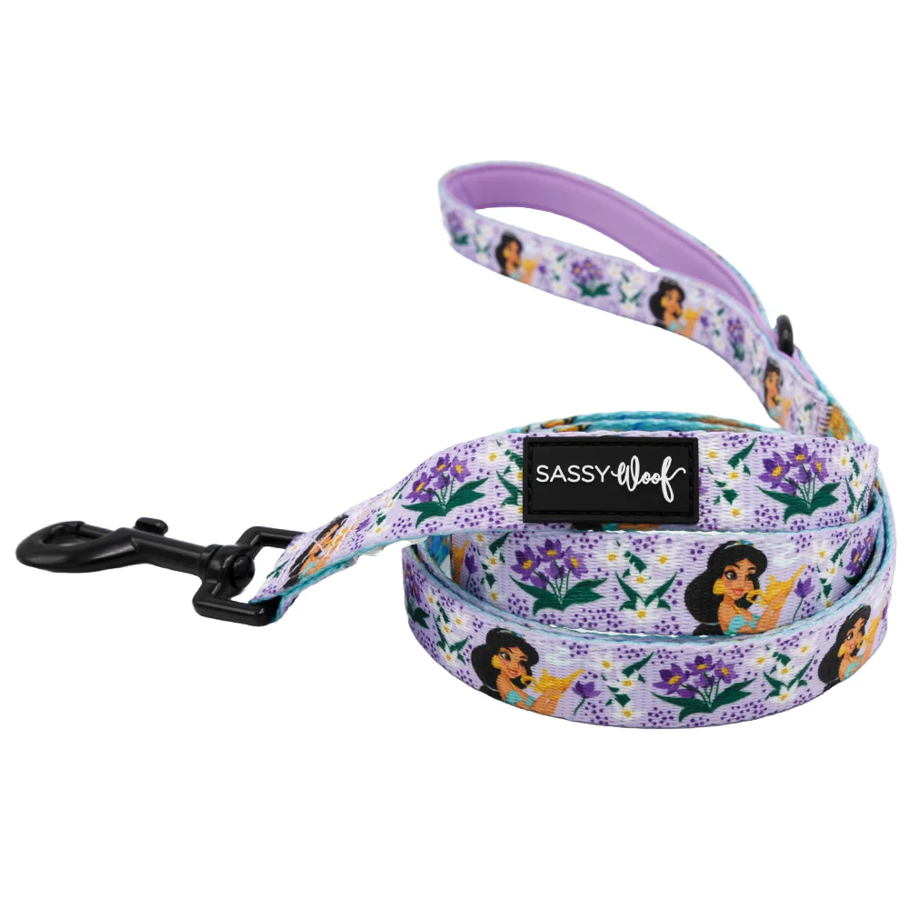 Dog Two Piece Bundle - Disney's Jasmine - Image 3