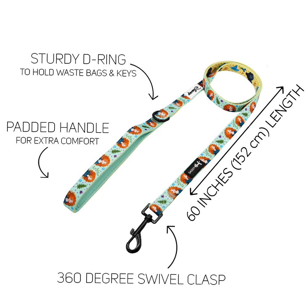 Dog Two Piece Bundle - Disney's Merida - Image 4