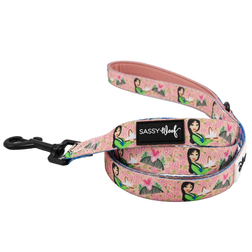 Dog Two Piece Bundle - Disney's Mulan - Image 3