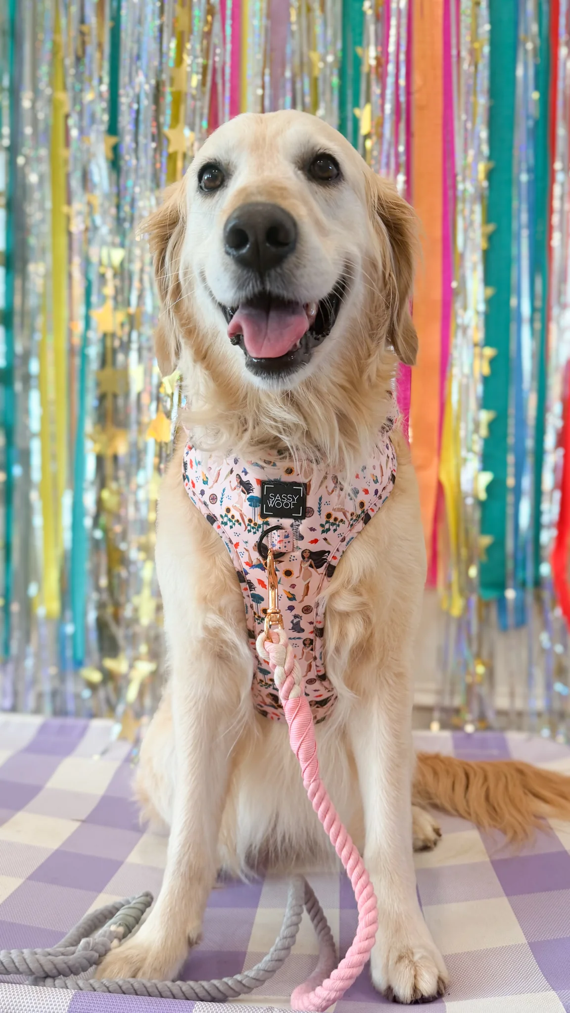 Harness Three Piece Bundle - Disney's Pocahontas - Image 17