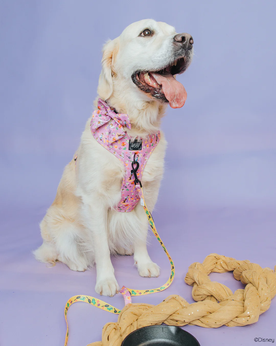 Dog Two Piece Bundle - Disney's Rapunzel - Image 13