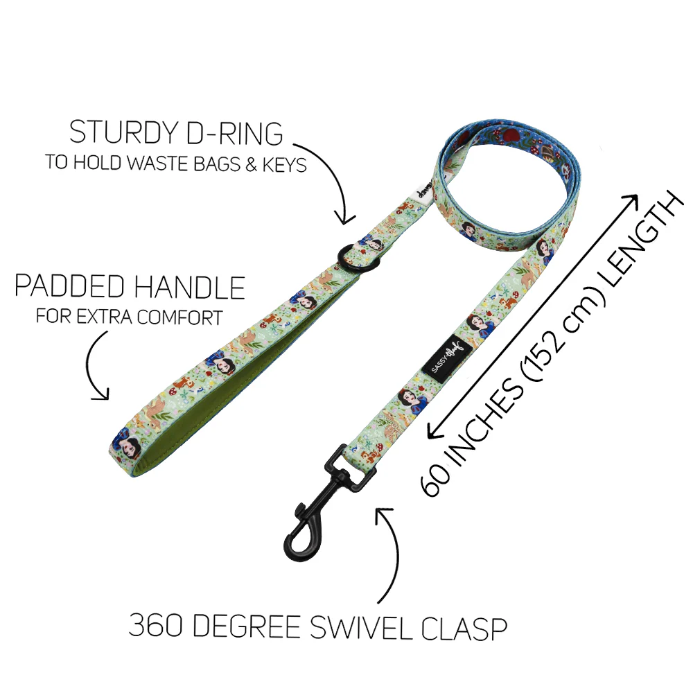 Dog Two Piece Bundle - Disney's Snow White - Image 4