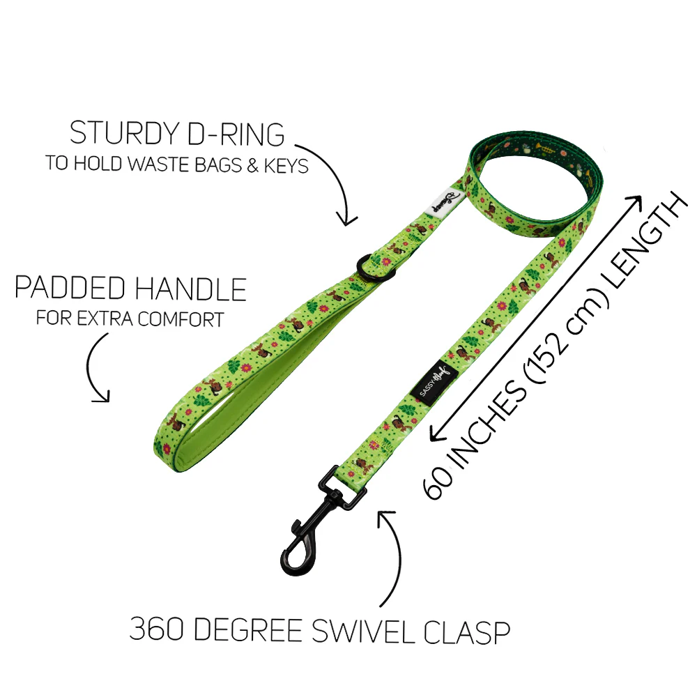 Dog Two Piece Bundle - Disney's Tiana - Image 4