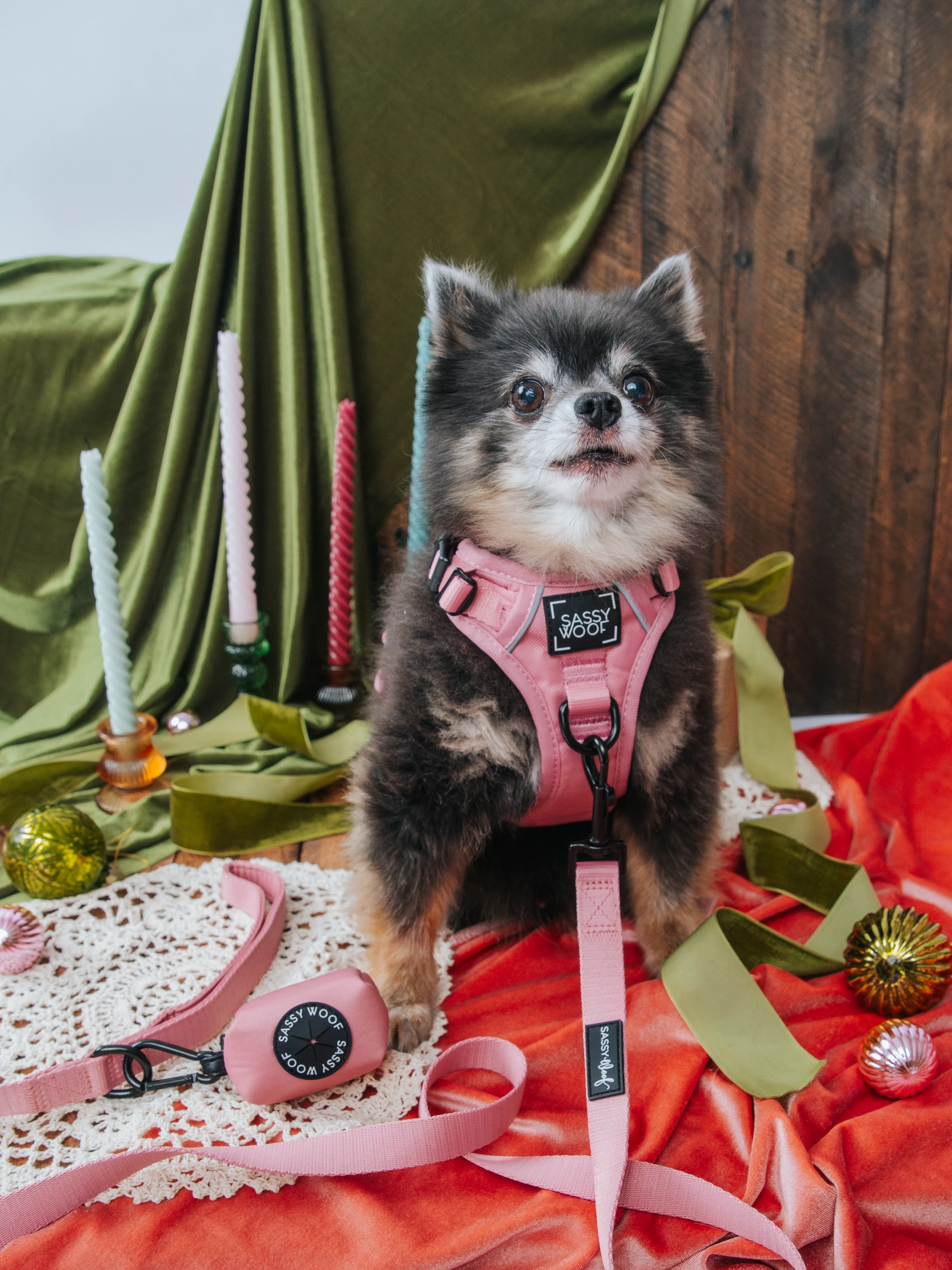 Dog Two Piece Bundle - Dusty Rose - Image 8