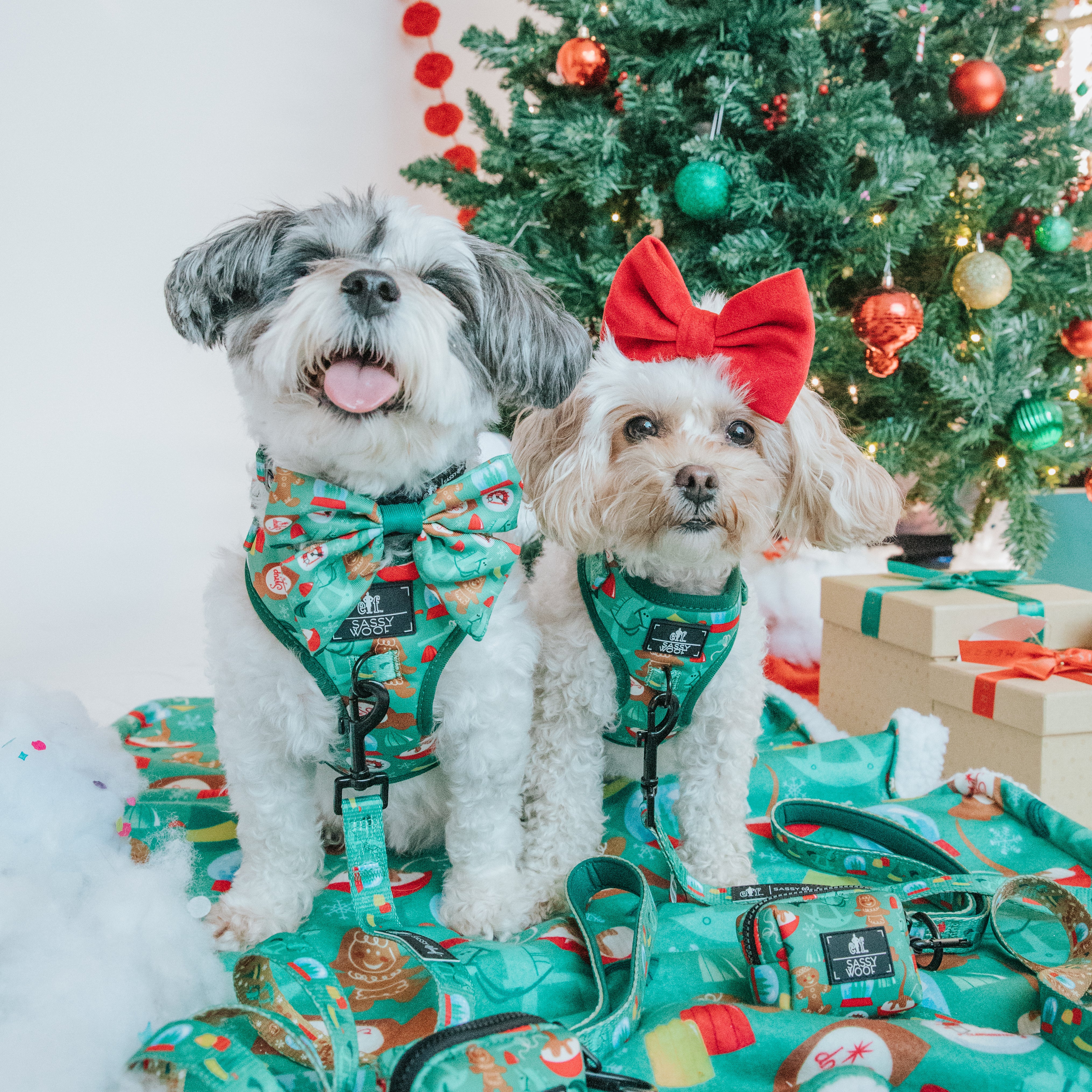 Dog Two Piece Bundle - Elf™ - Image 10