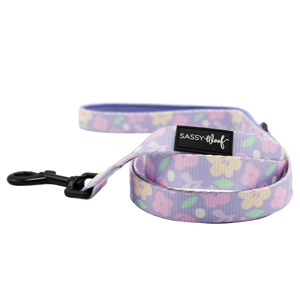 Dog Two Piece Bundle - Fleur de Sass - Image 3