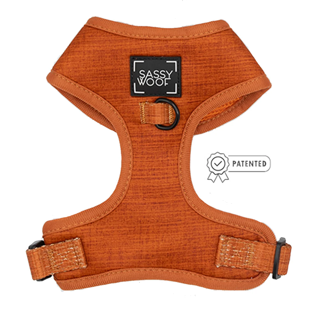 Dog Two Piece Bundle - Foxy - Image 2