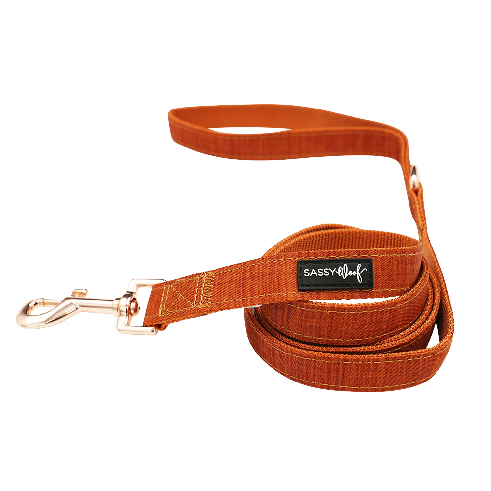 Dog Two Piece Bundle - Foxy - Image 3