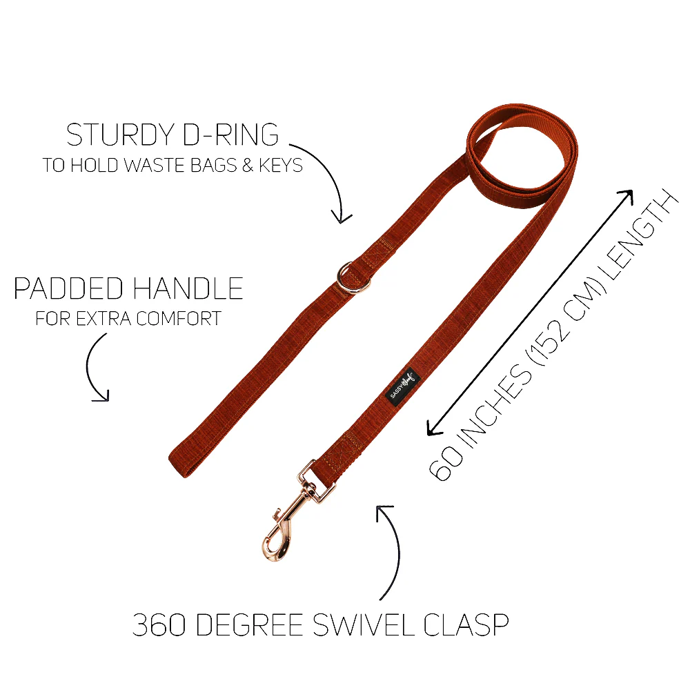 Dog Two Piece Bundle - Foxy - Image 4