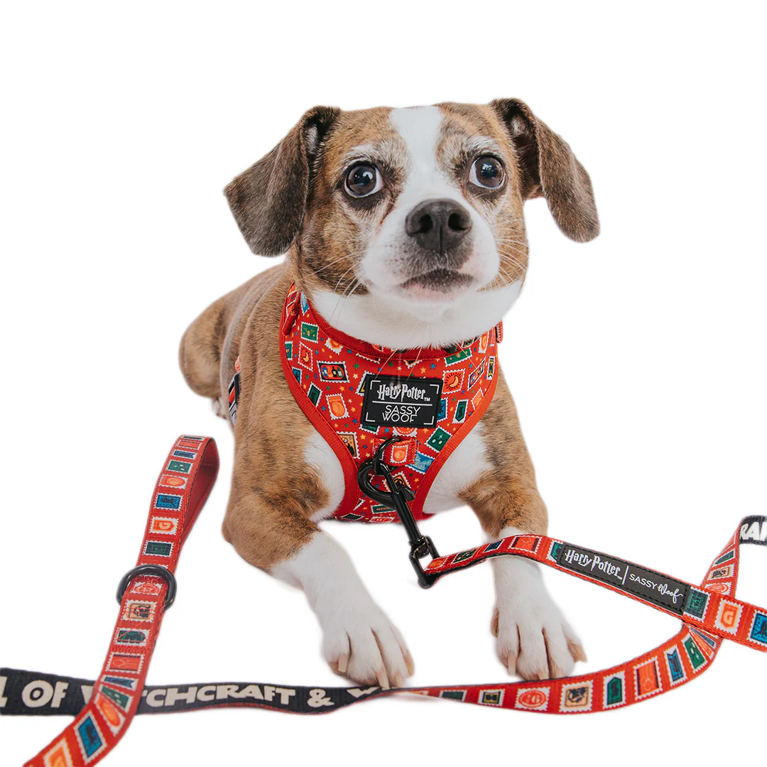 Dog Two Piece Bundle - Harry Potter™ Stamps - Image 9