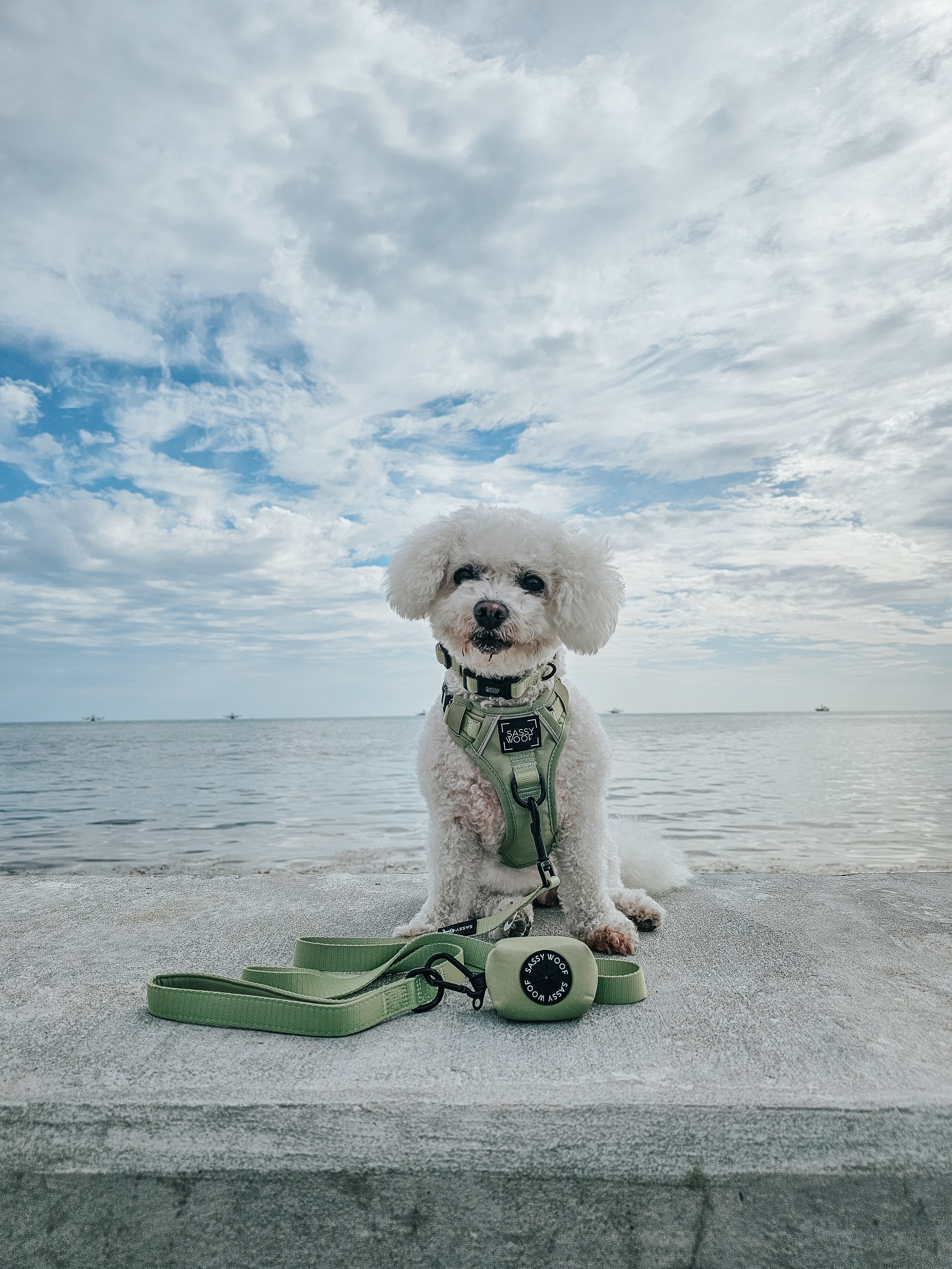 Dog Two Piece Bundle - Matcha - Image 8