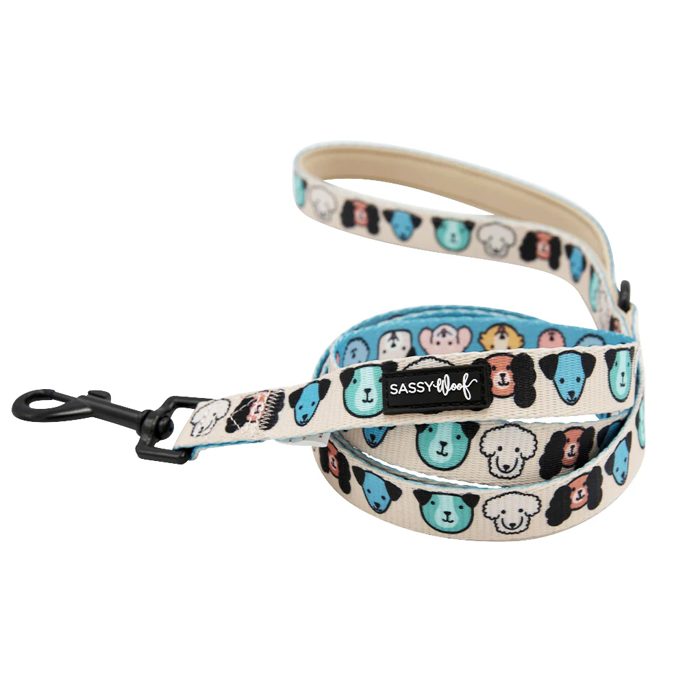 Dog Two Piece Bundle - Mixed With Love - Image 3