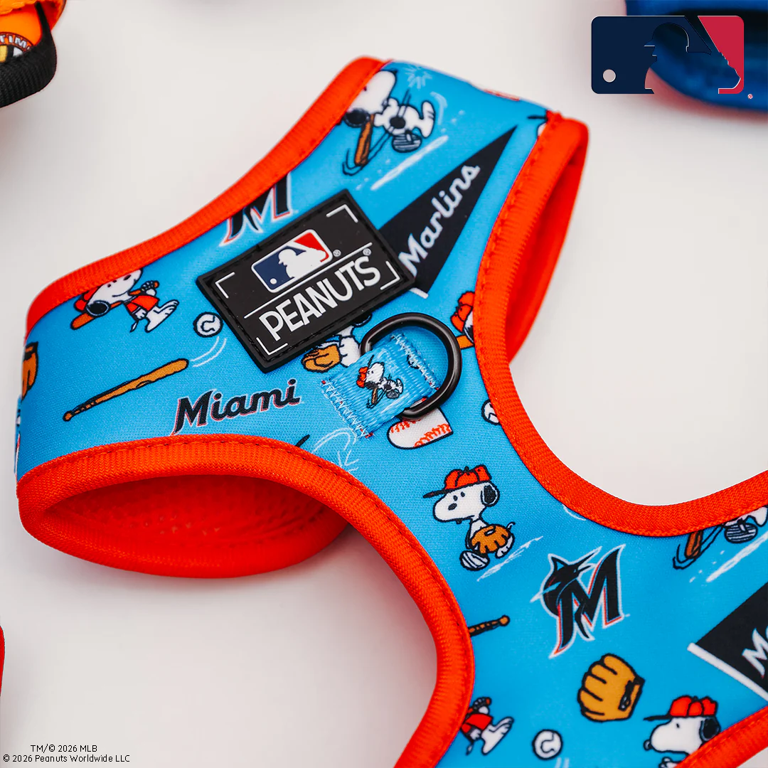 Dog Two Piece Bundle - MLB™ x Peanuts™ Miami Marlins™ - Image 8