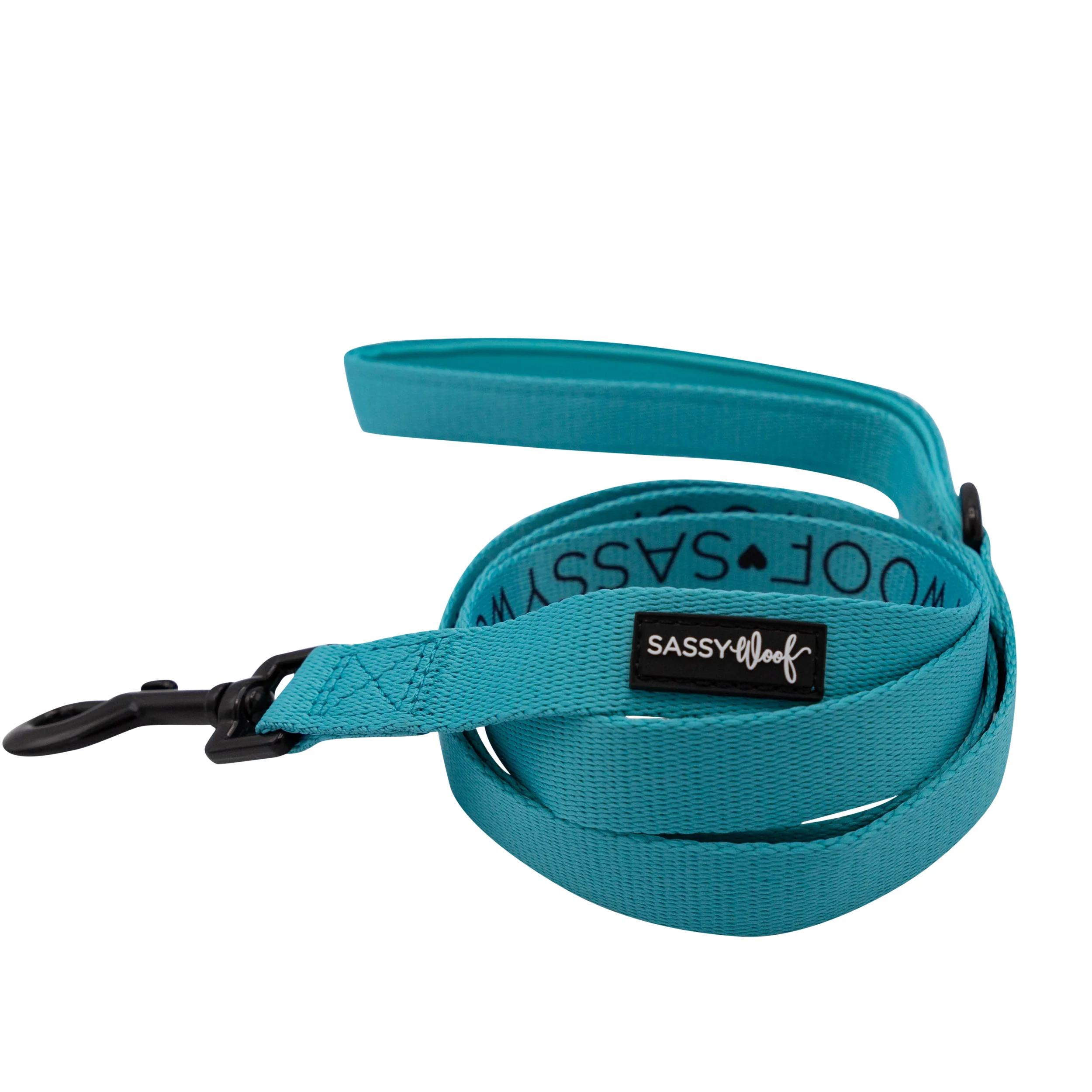 Dog Two Piece Bundle - Neon Blue - Image 3