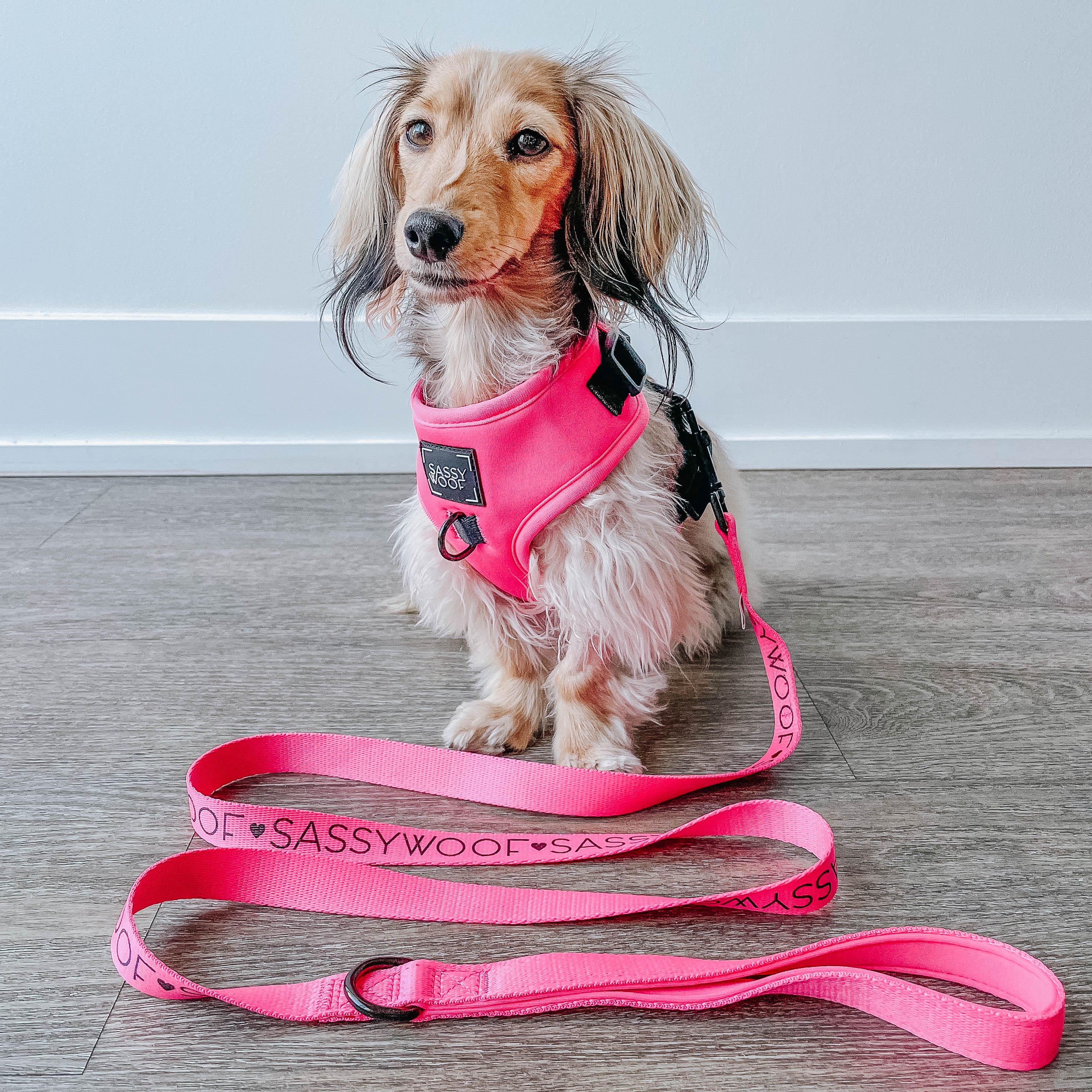 Dog Two Piece Bundle - Neon Pink - Image 8