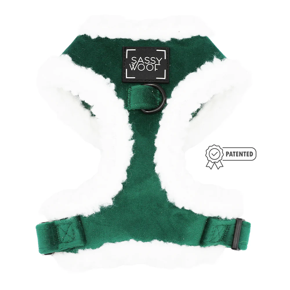 Dog Two Piece Bundle - Nice - Image 2