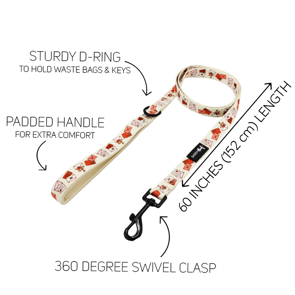 Dog Two Piece Bundle - P.S. I Woof You - Image 4