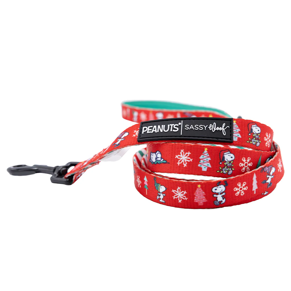Dog Two Piece Bundle - Peanuts™ Beagle Bells - Image 3