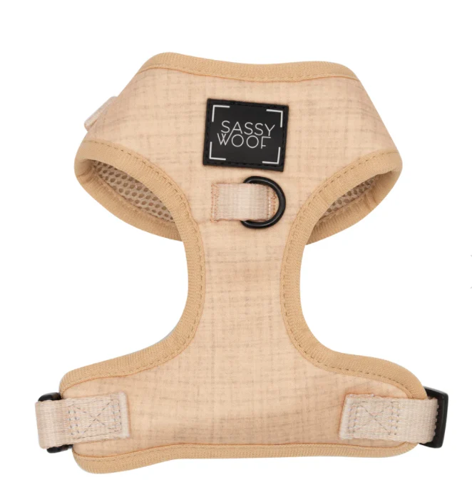 Dog Two Piece Bundle - Pinot - Image 2