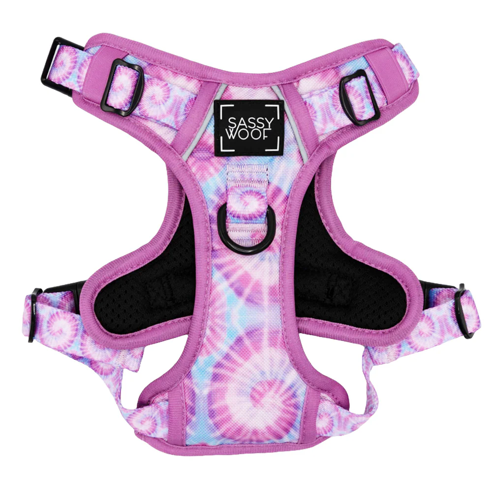Dog Two Piece Bundle - Purple Haze - Image 2