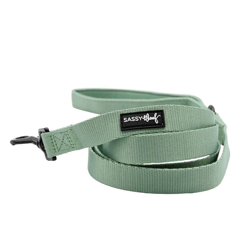 Dog Two Piece Bundle - Sage - Image 3