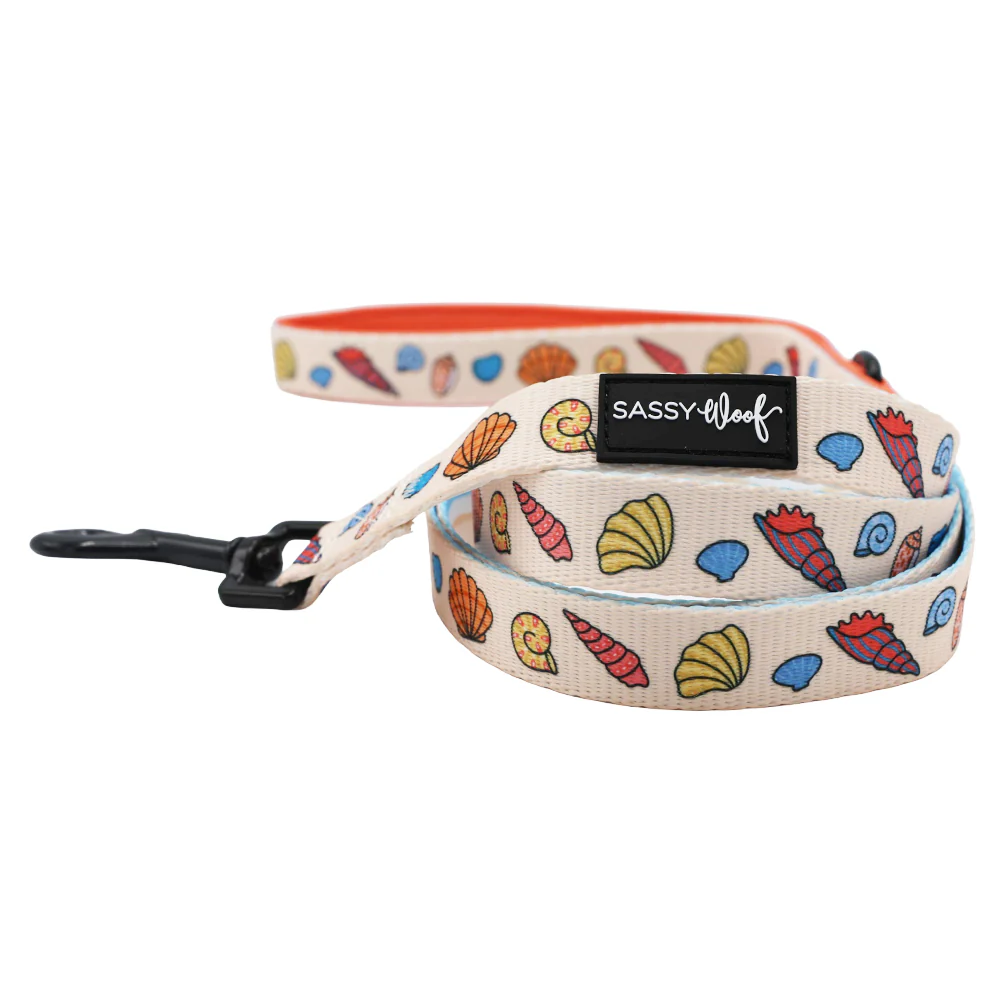 Dog Two Piece Bundle - Shell Yeah - Image 3