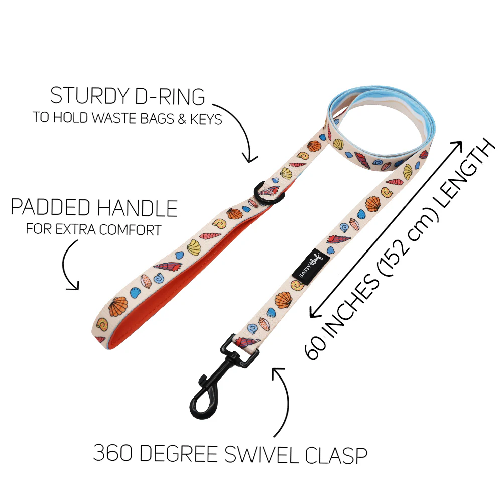 Dog Two Piece Bundle - Shell Yeah - Image 4