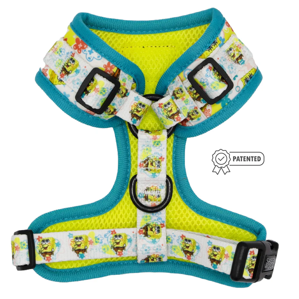 Dog Two Piece Bundle - SpongeBob SquarePants™ Bikini Bottom - Image 3