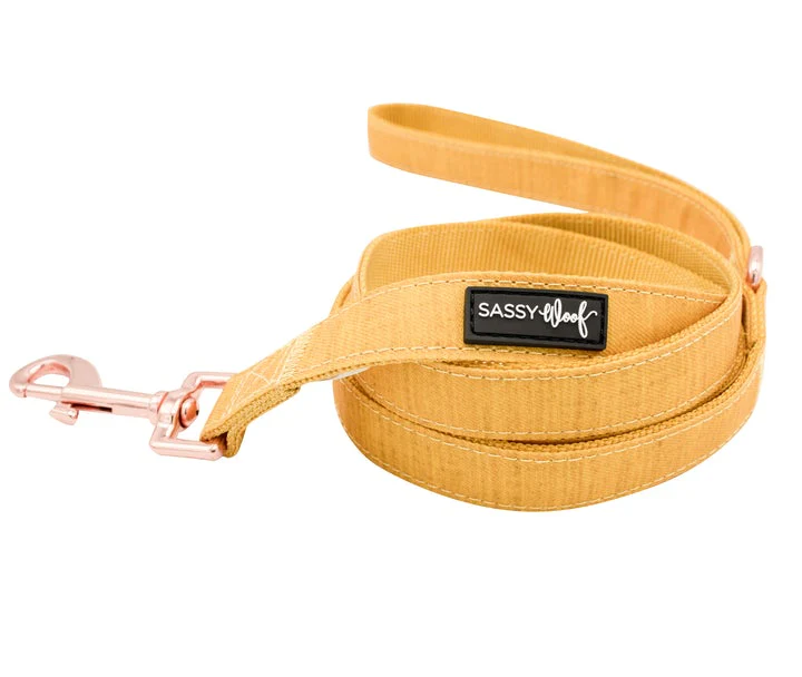 Dog Two Piece Bundle - Sunflower Fields - Image 3