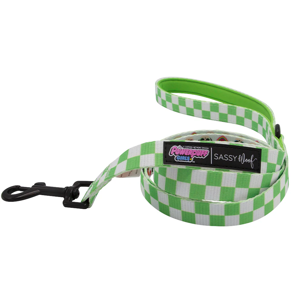 Dog Two Piece Bundle - The Powerpuff Girls™ (Green) - Image 3