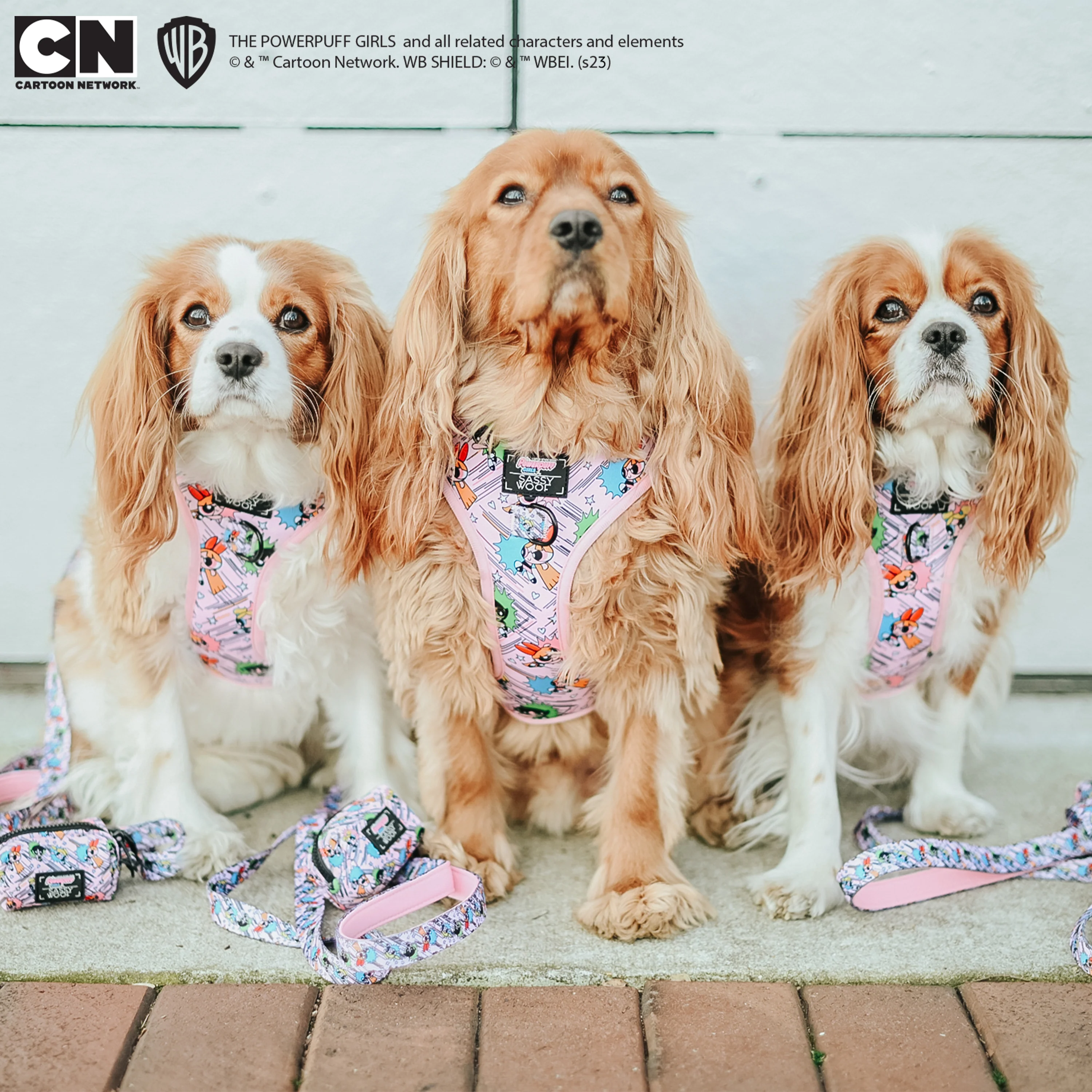 Dog Two Piece Bundle - The Powerpuff Girls™ (Pink) - Image 10