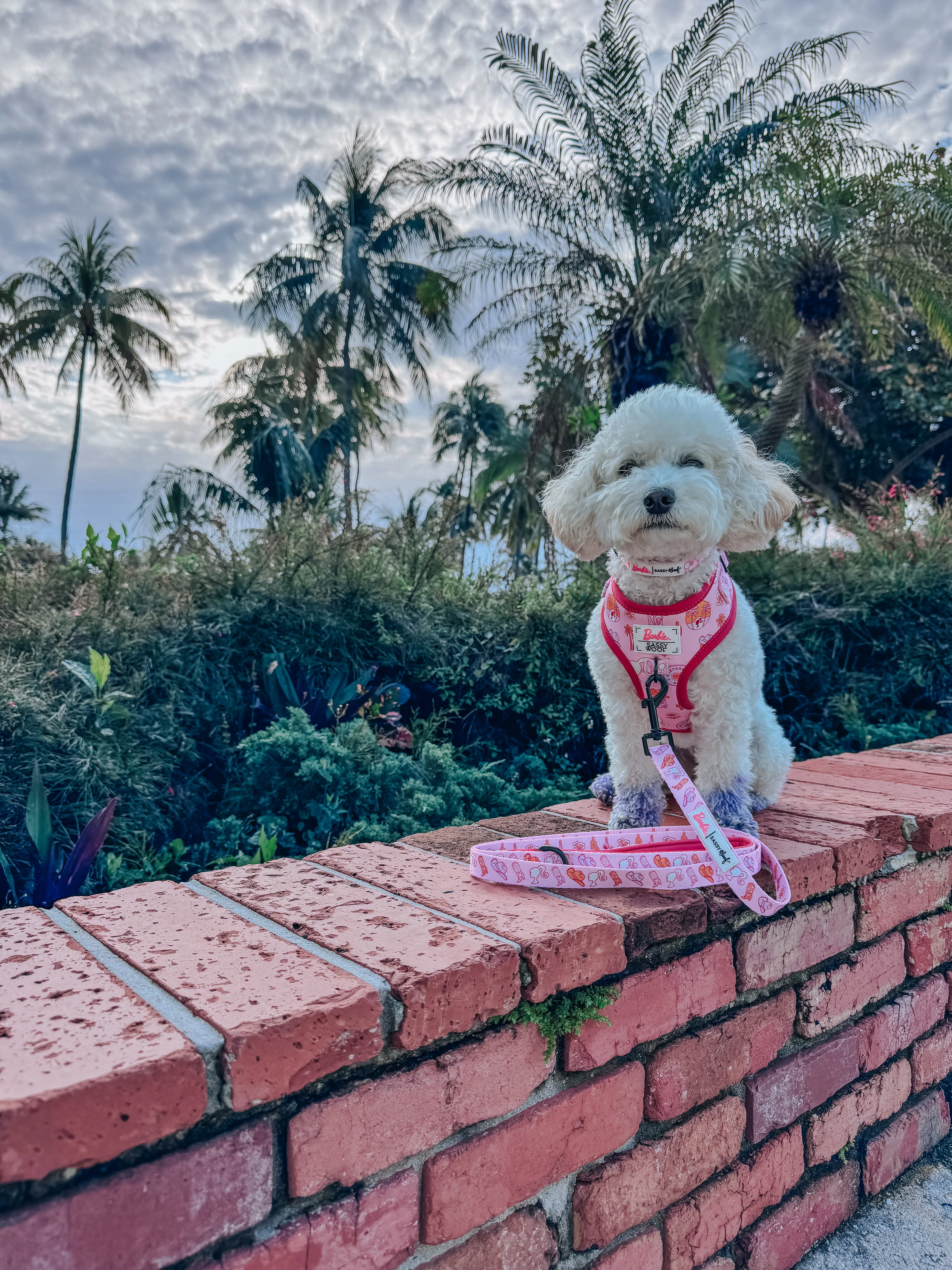 Dog Two Piece Bundle - Western Barbie™ - Image 10