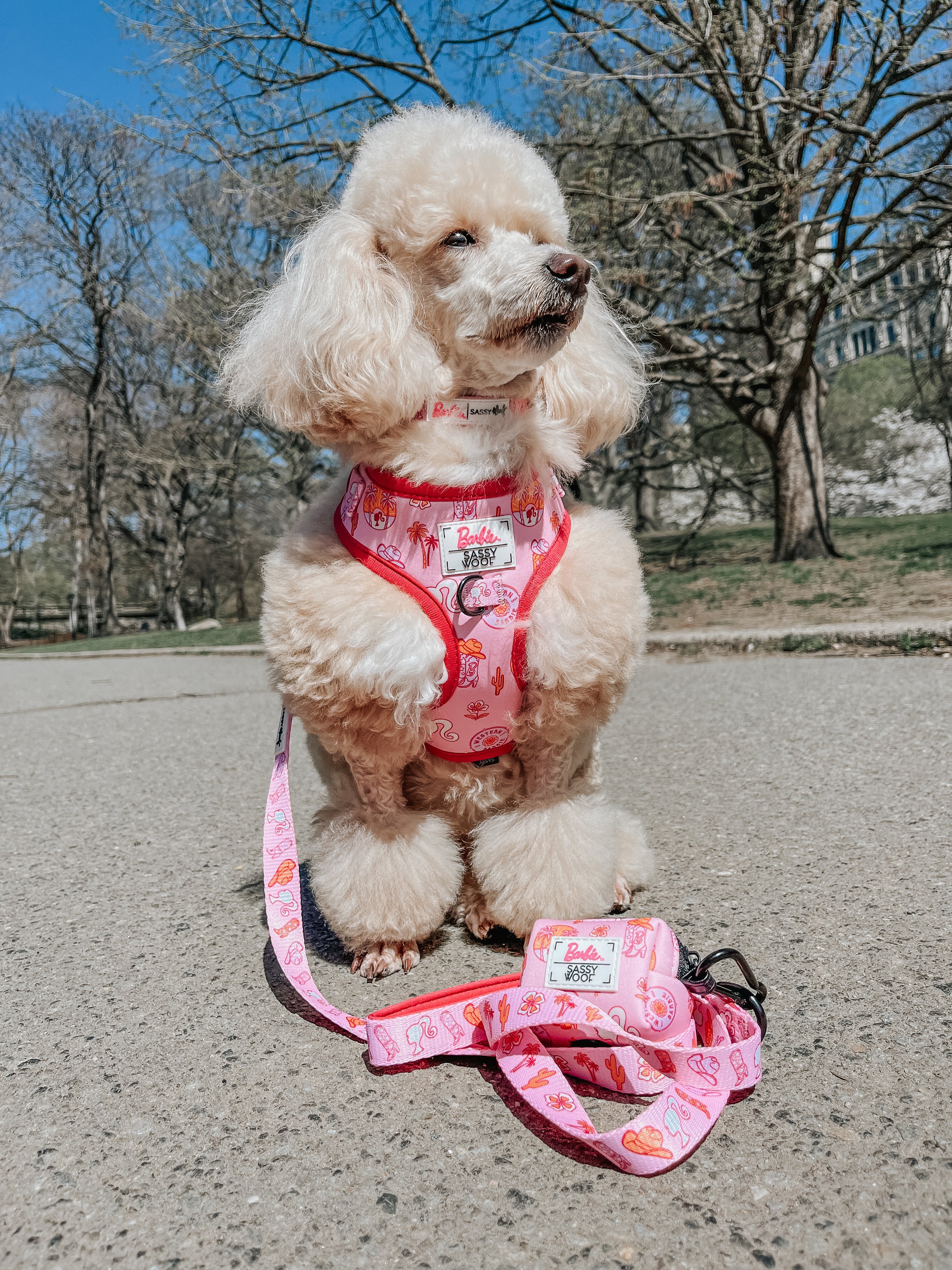 Dog Two Piece Bundle - Western Barbie™ - Image 9