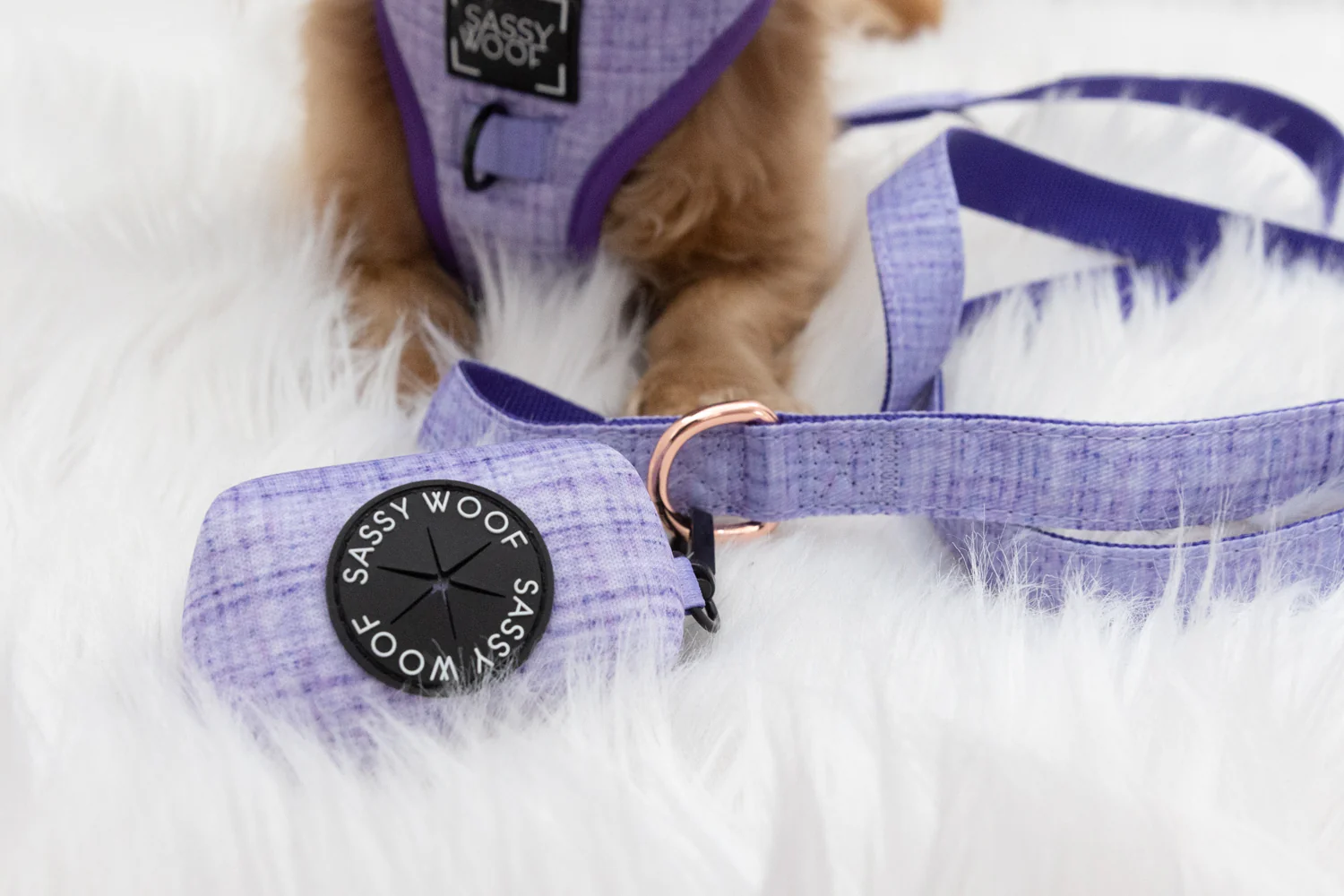 Dog Waste Bag Holder - Aurora - Image 4
