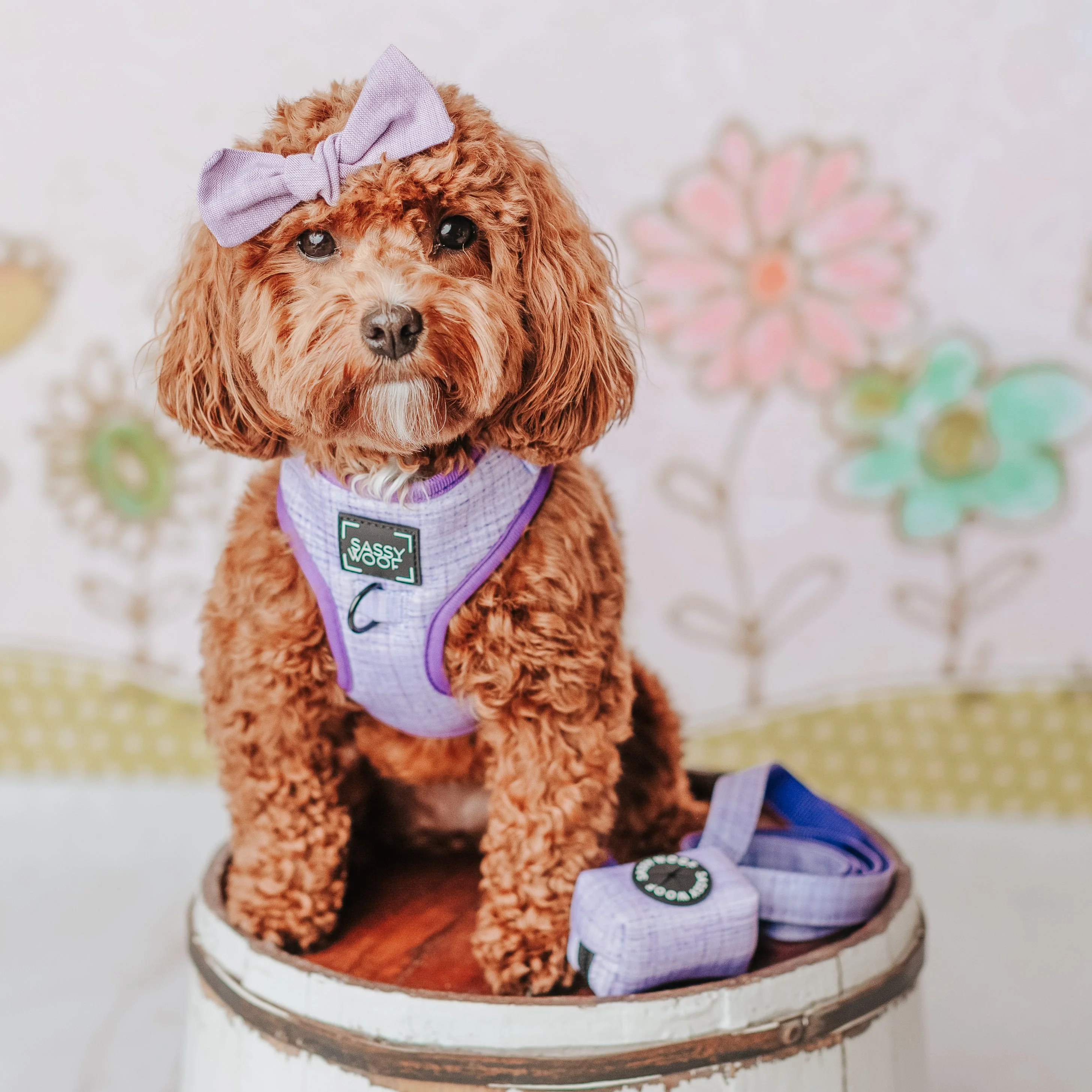Dog Waste Bag Holder - Aurora - Image 7