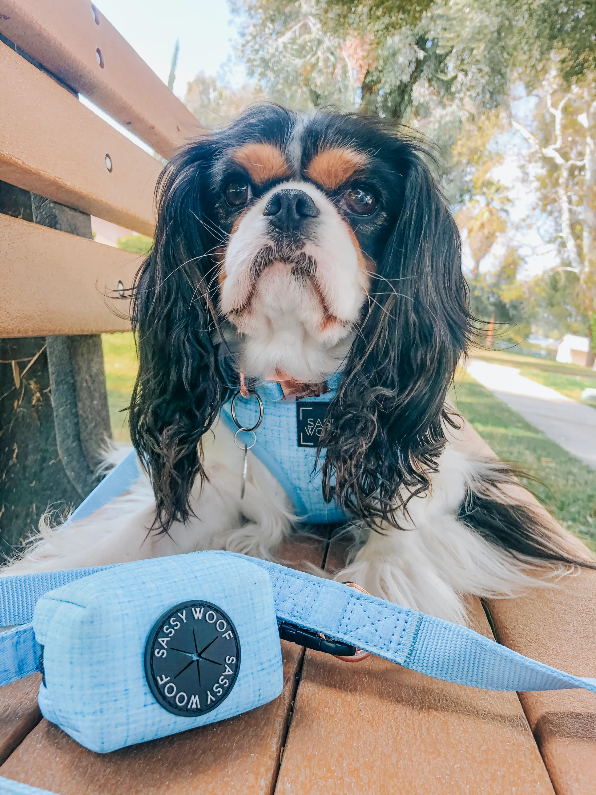 Dog Waste Bag Holder - Blumond - Image 5