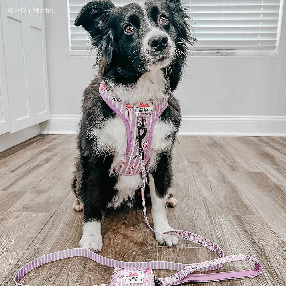 Dog Waste Bag Holder - BARBIE™ Closet Goals - Image 6