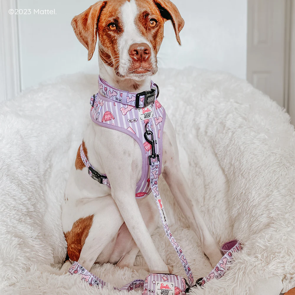 Dog Waste Bag Holder - BARBIE™ Closet Goals - Image 8