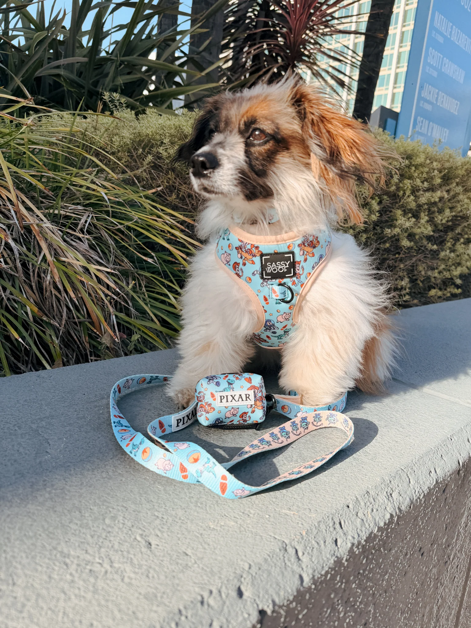 Dog Waste Bag Holder - Disney and Pixar's Toy Story - Image 13