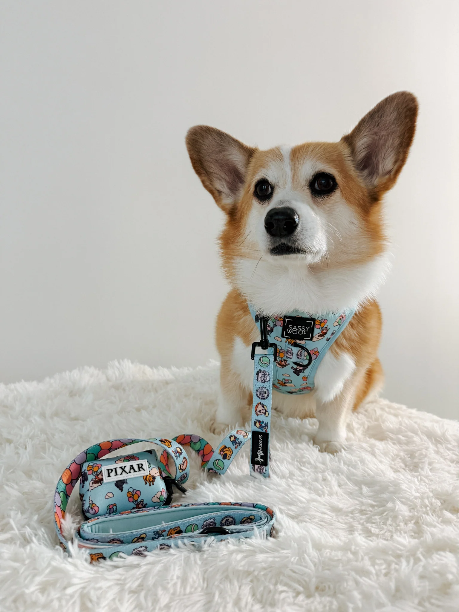 Dog Waste Bag Holder - Disney and Pixar's Up - Image 12