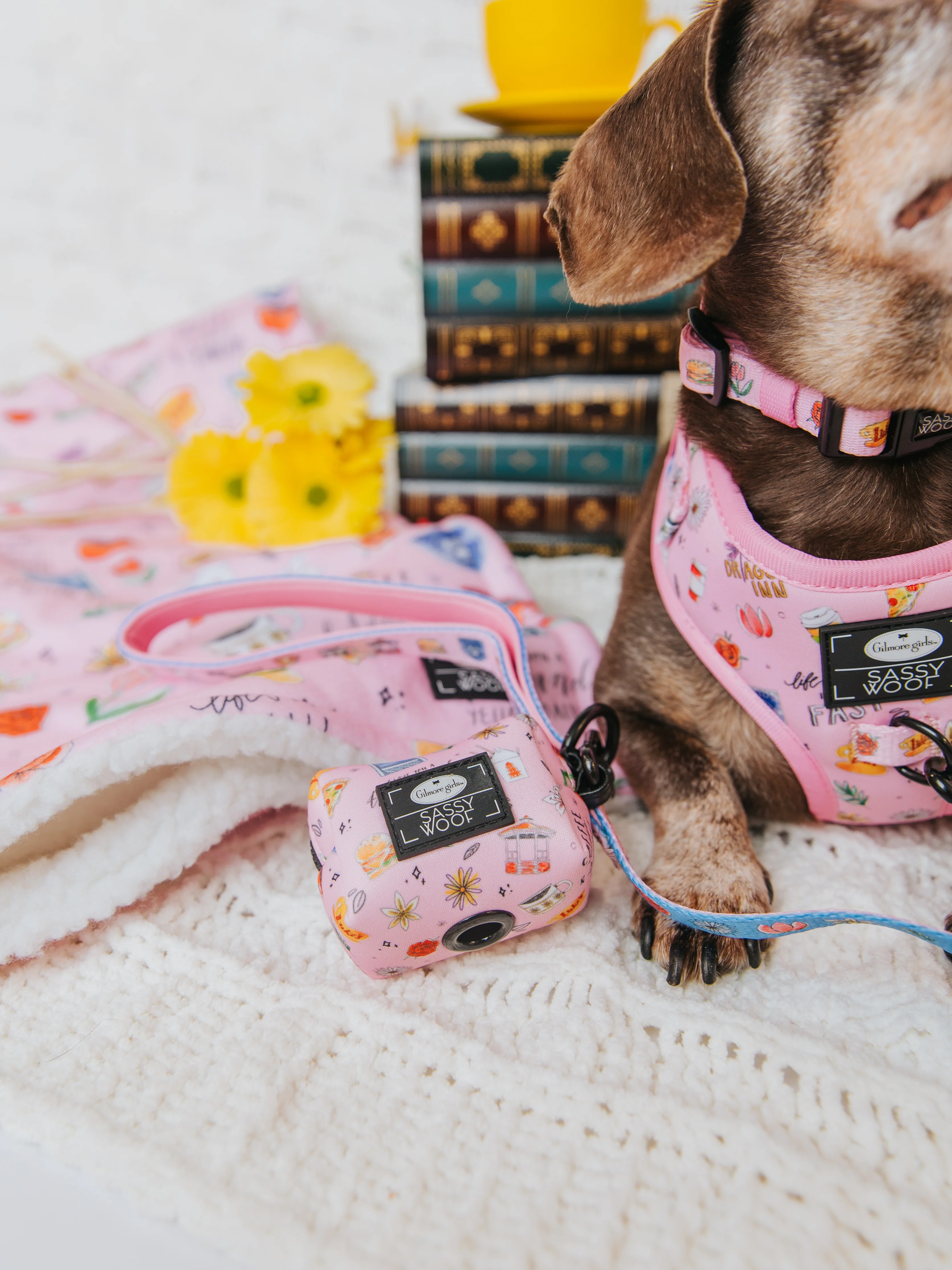 Dog Waste Bag Holder - Gilmore Girls™ - Image 6