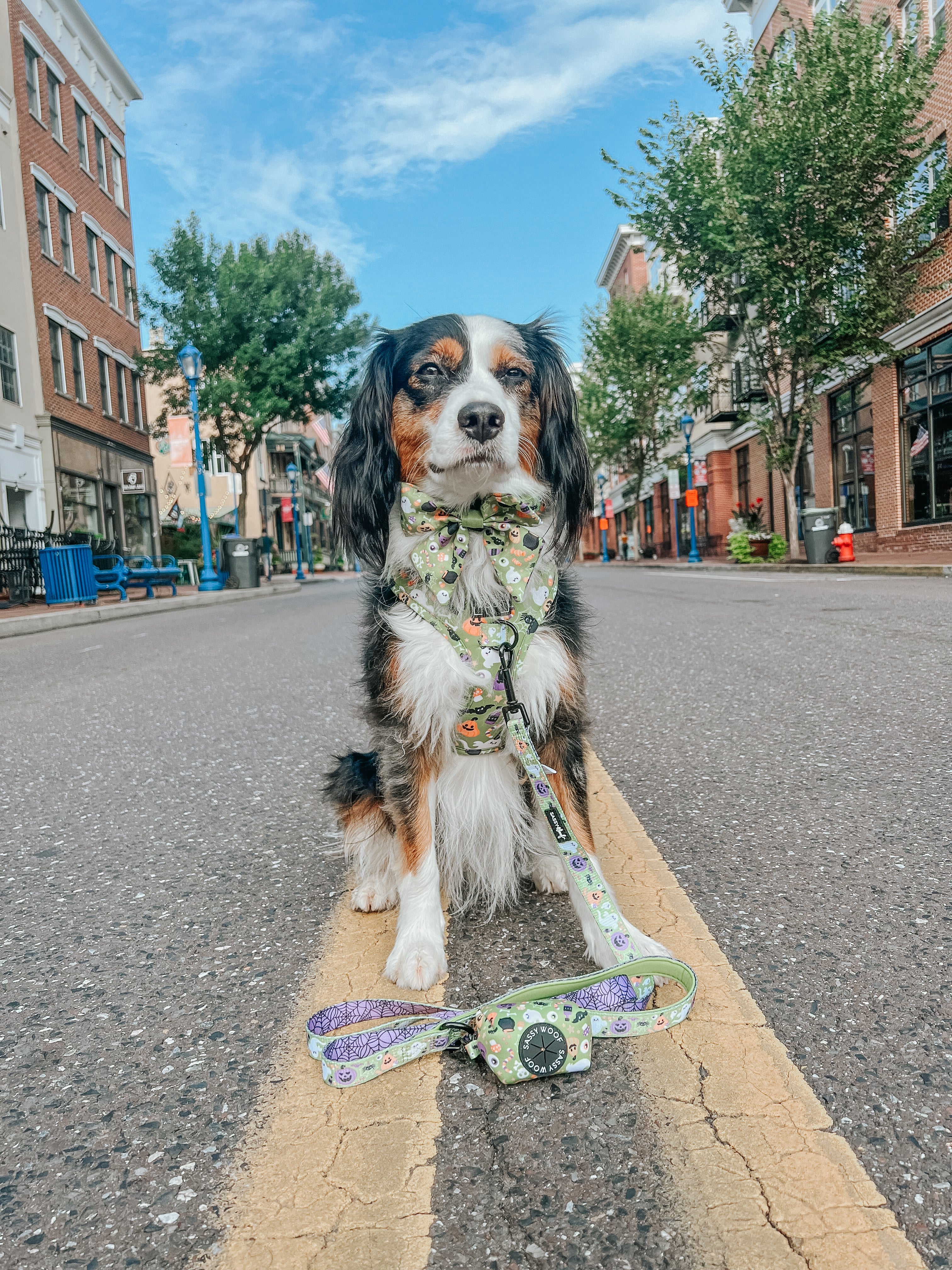 Dog Waste Bag Holder - Haunt Mess - Image 6