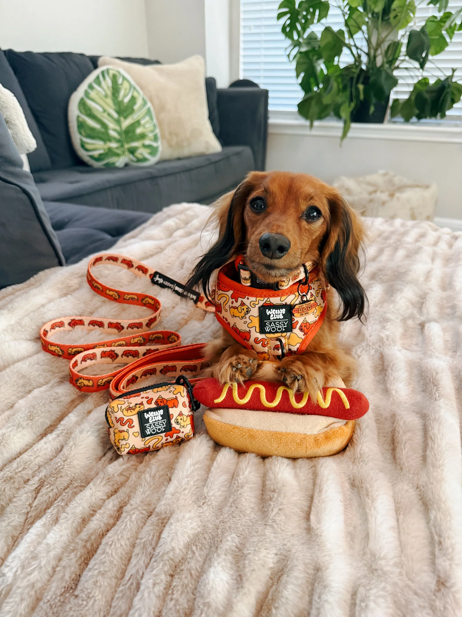 Dog Adjustable Harness - Hot Dawg - Image 17