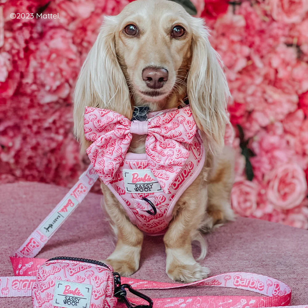 Dog Waste Bag Holder - BARBIE™ Malibu - Image 10