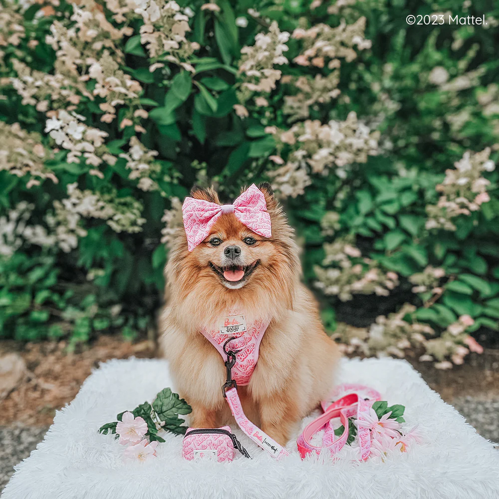 Dog Waste Bag Holder - BARBIE™ Malibu - Image 6
